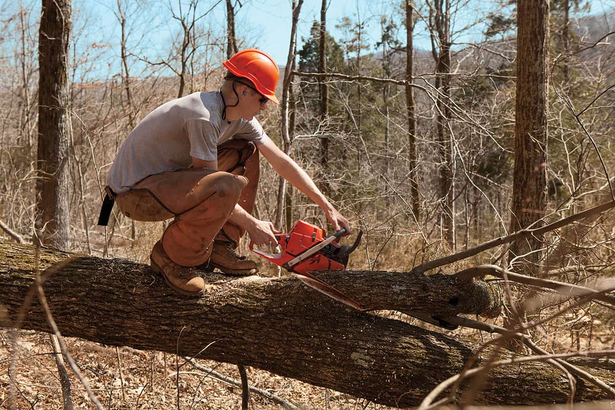 Member cutting a tree.