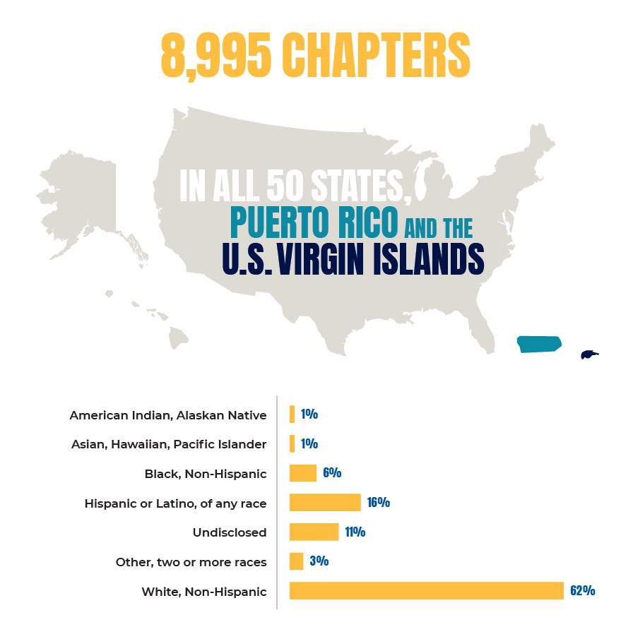 Info Graphic - Chapters and Ethnic Background