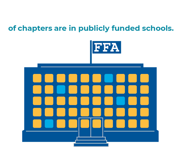 public schools infographic